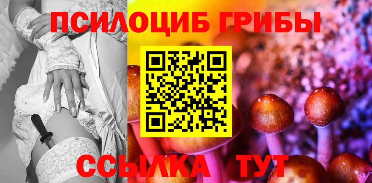 как найти   Псилоцибиновые грибы Psilocybine cubensis  Торжок  Вход с VPN  Галлюциногенные грибы Magic Shrooms 