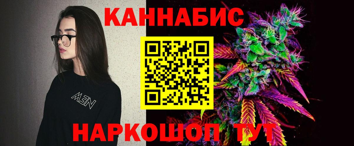Бошки Шишки план Торжок